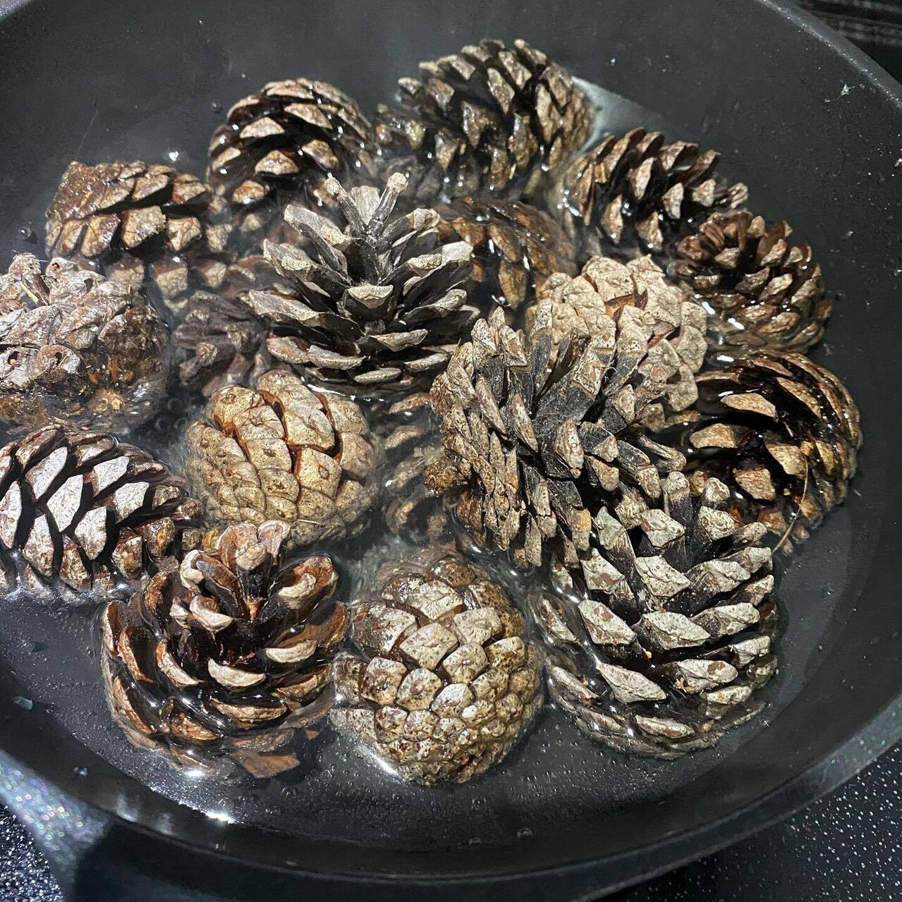 山から拾ってきた松ぼっくりの長期保管方法 Haco ガーデンプランナー 庭のある暮らし植物のある暮らし Note