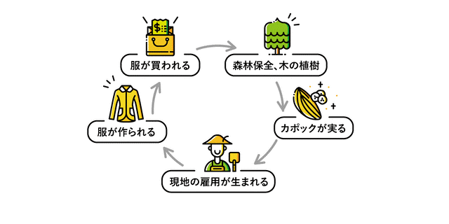 カポックと森林保全サイクル