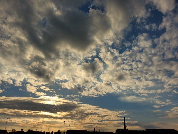 今日の雲はずっと表情豊かでドラマチックで。
もうすぐ終わる太陽も、やっぱずっと優しかった。

佳い夜を。


#sky #空 #秋 #autumn #moritaMiW  #アトリエの空 #アトリエブウミ #佳い一日の終わり