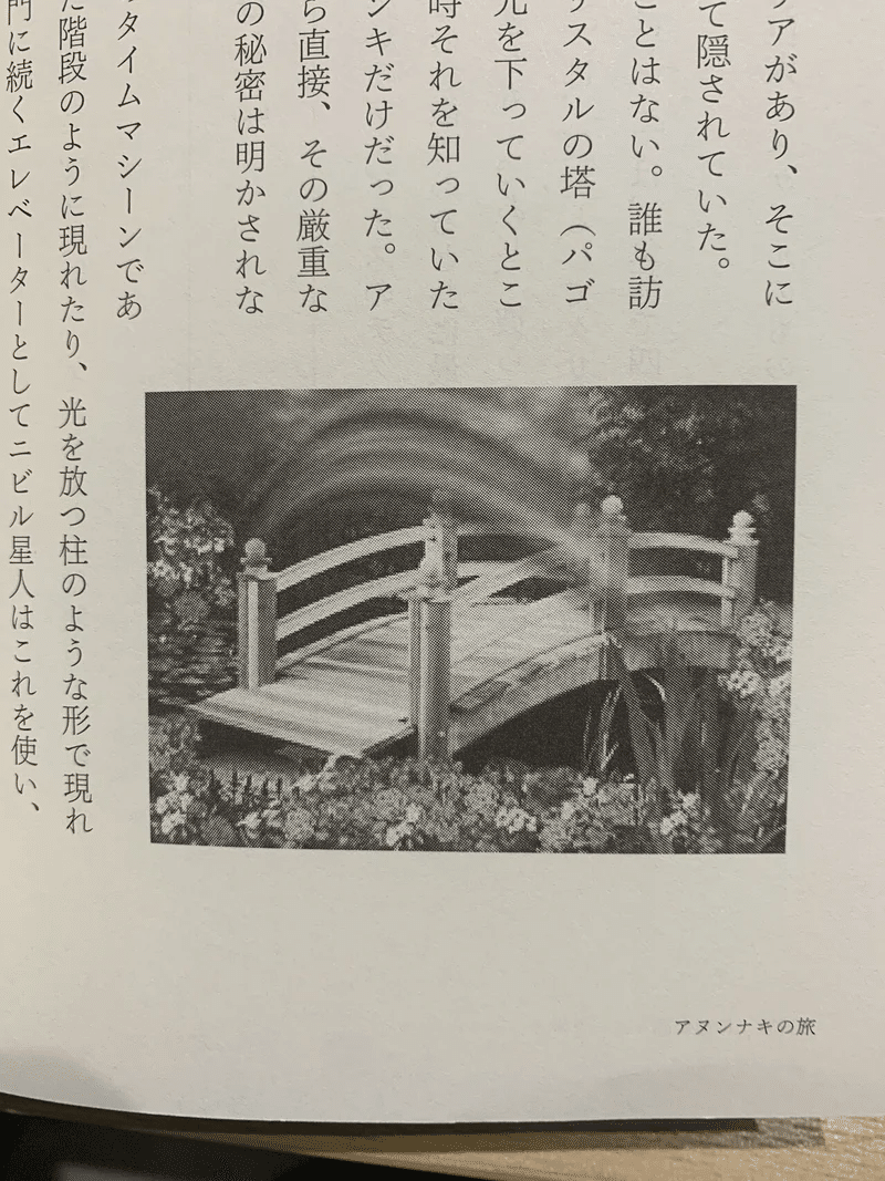 画像99