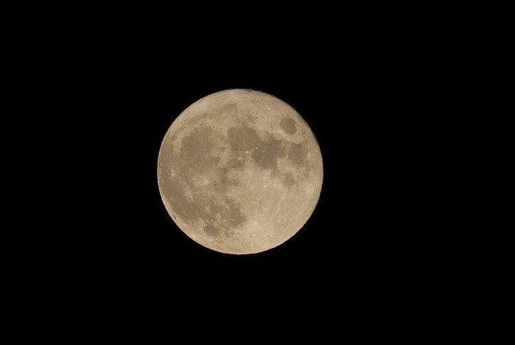 中秋の名月の名月です
言葉にするのは難しいほど綺麗な月でした