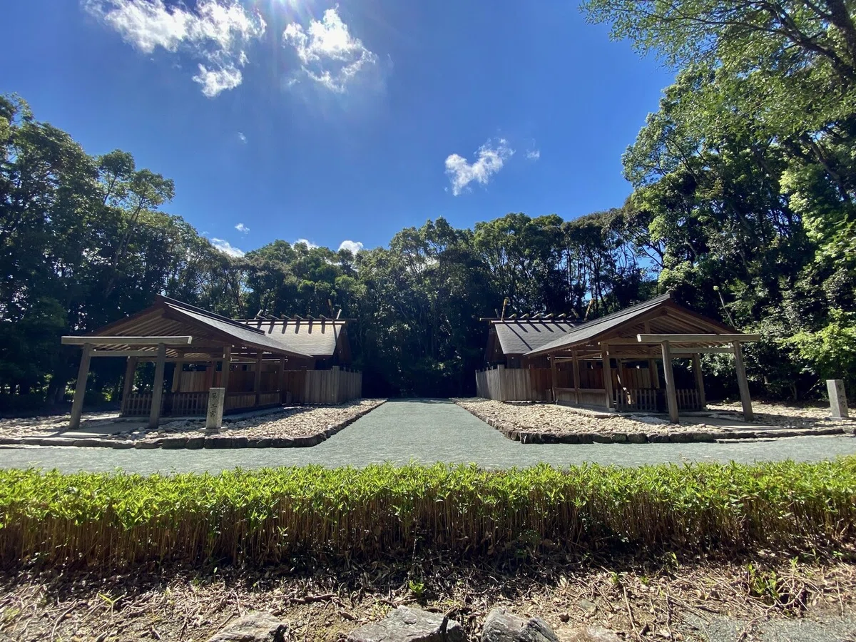 画像8