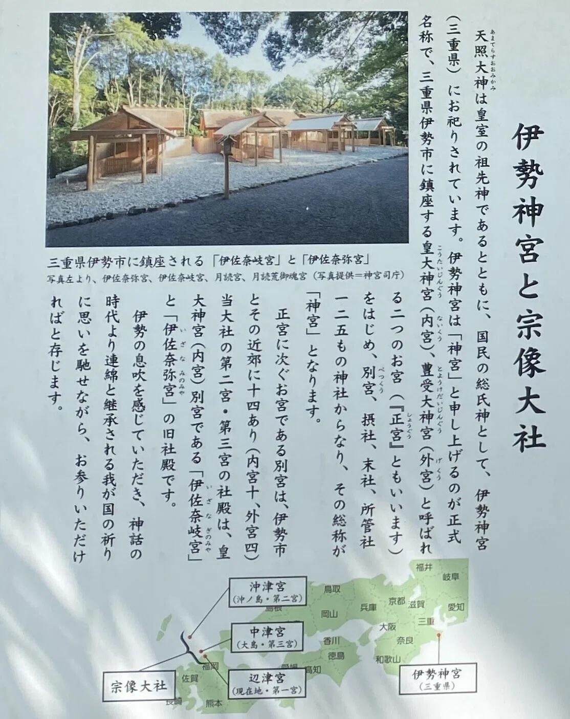 画像11