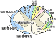 画像10