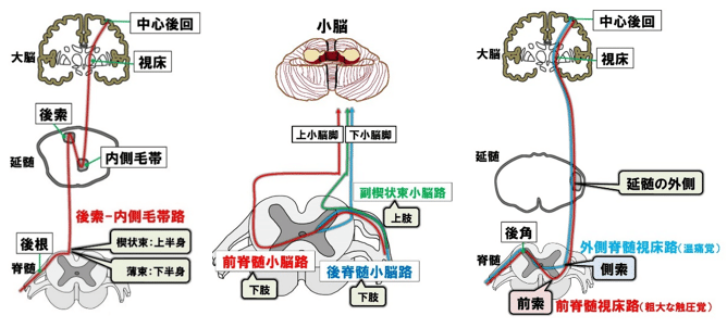 画像11