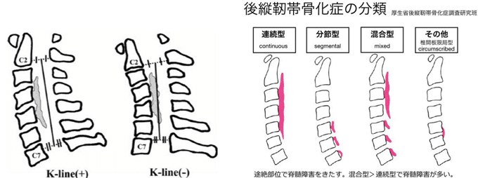 画像14