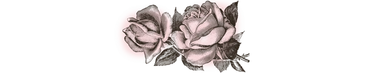 薔薇 細い