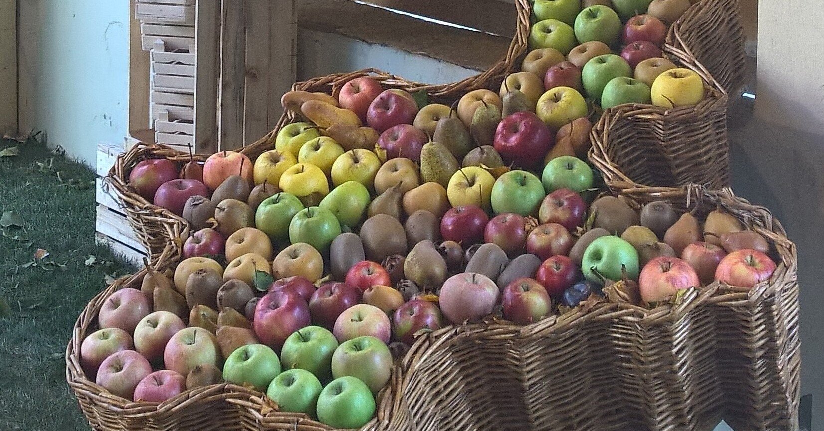 c15f2610151272b28914c6e9e50d73