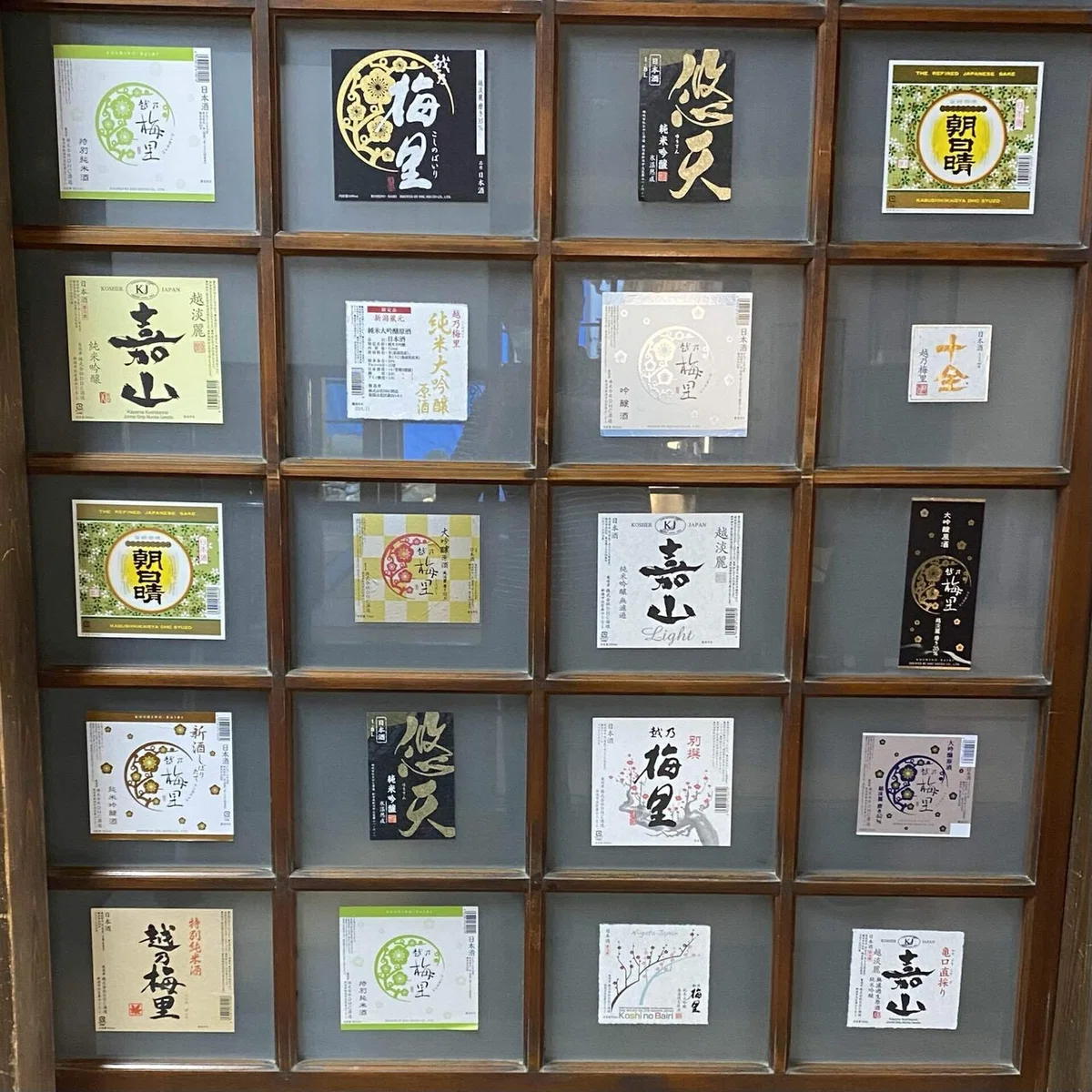 画像6