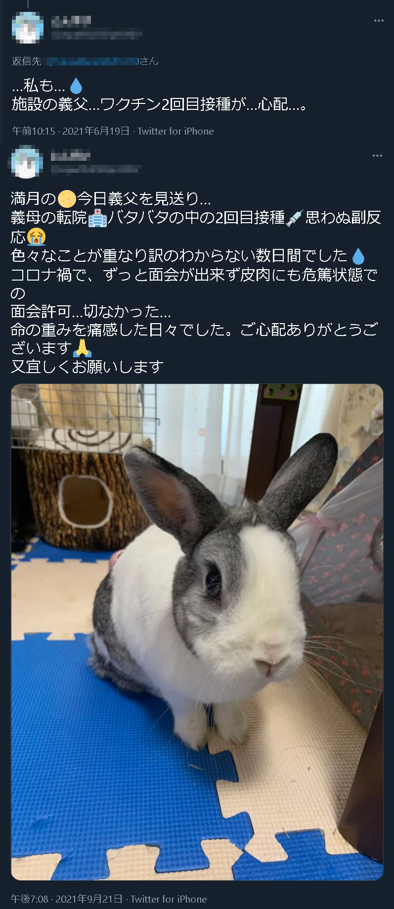 モザイク tonsuke san titi