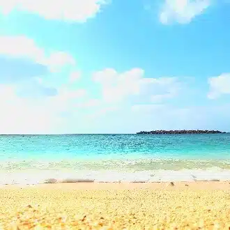 星野いのり