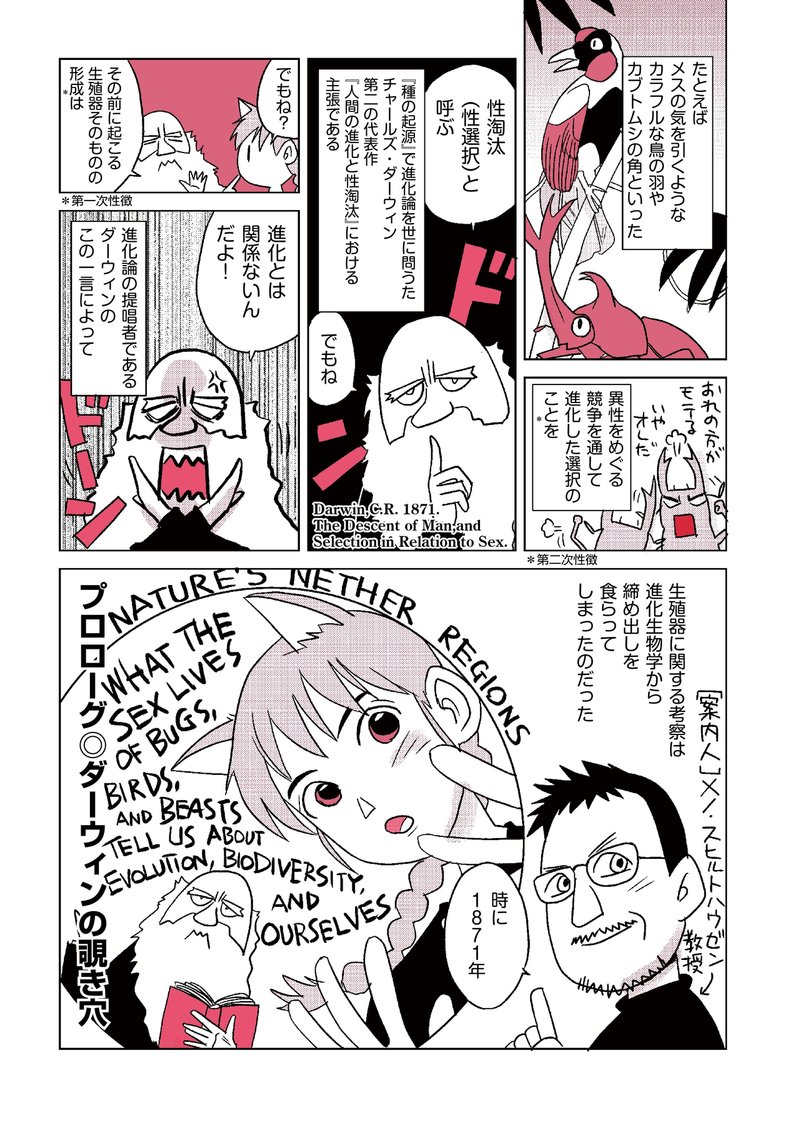 ダーウィンの覗き穴 性的器官はいかに進化したか マンガ版 第1回 Hayakawa Books Magazines B ダーウィンの覗き穴 性的器官はいかに進化したか マンガ版 第1回 Hayakawa Books Magazines B