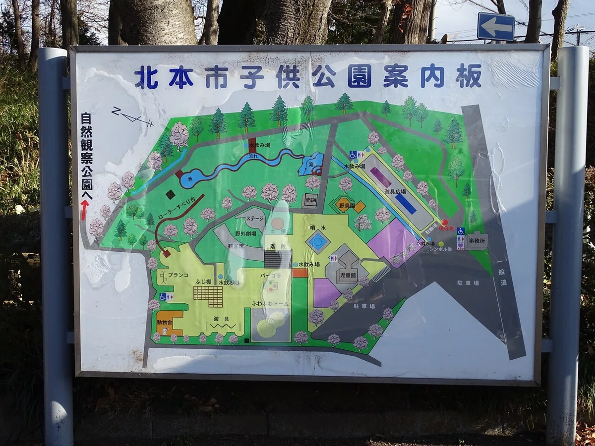 画像8