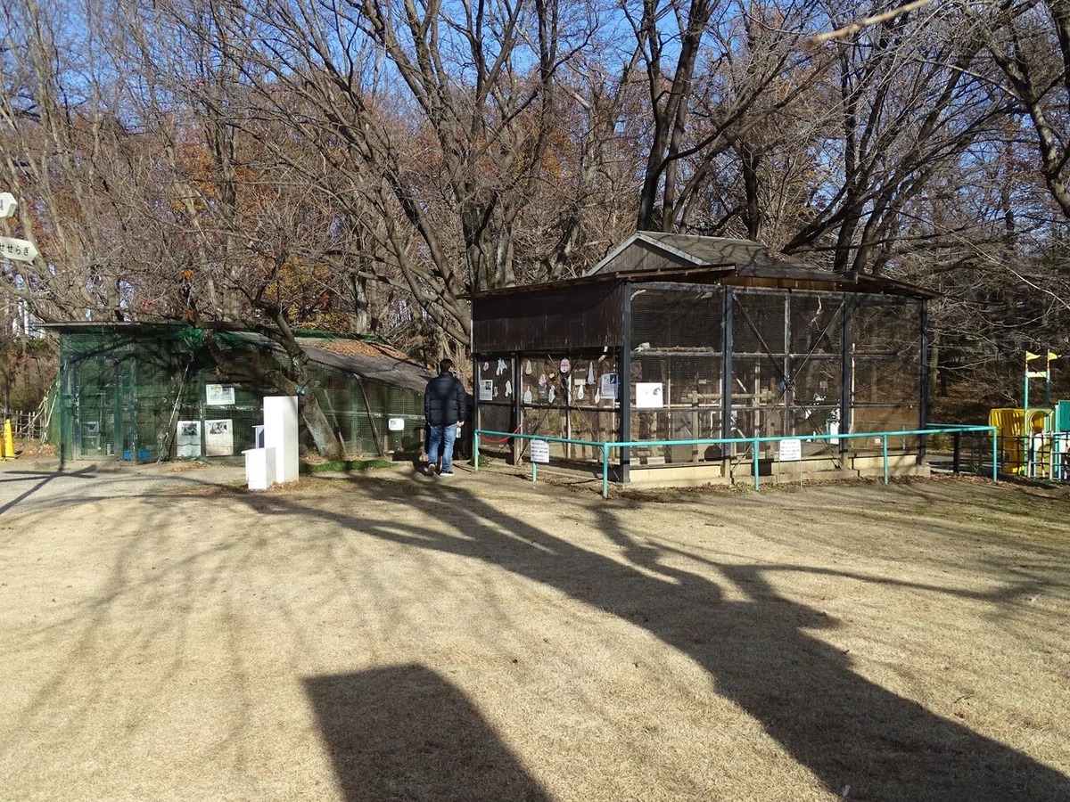 画像9