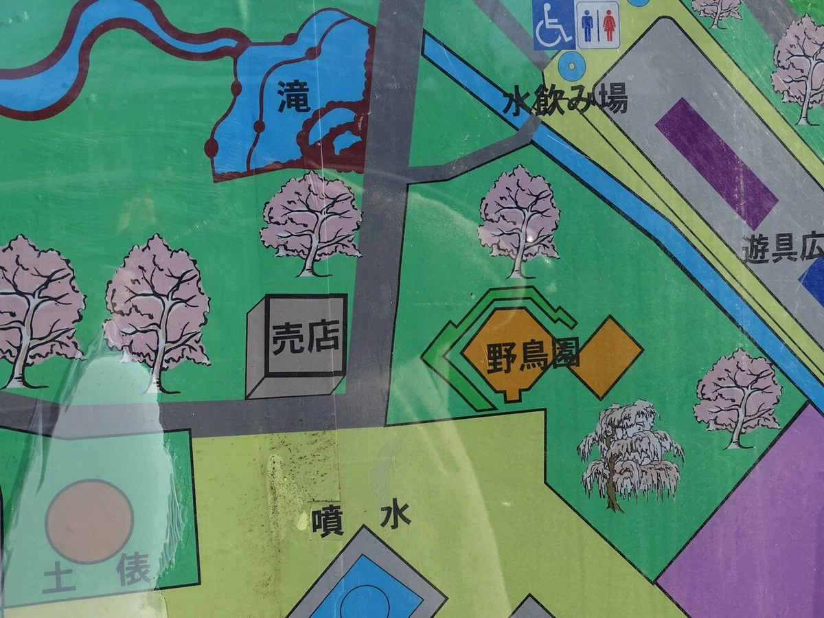 画像12