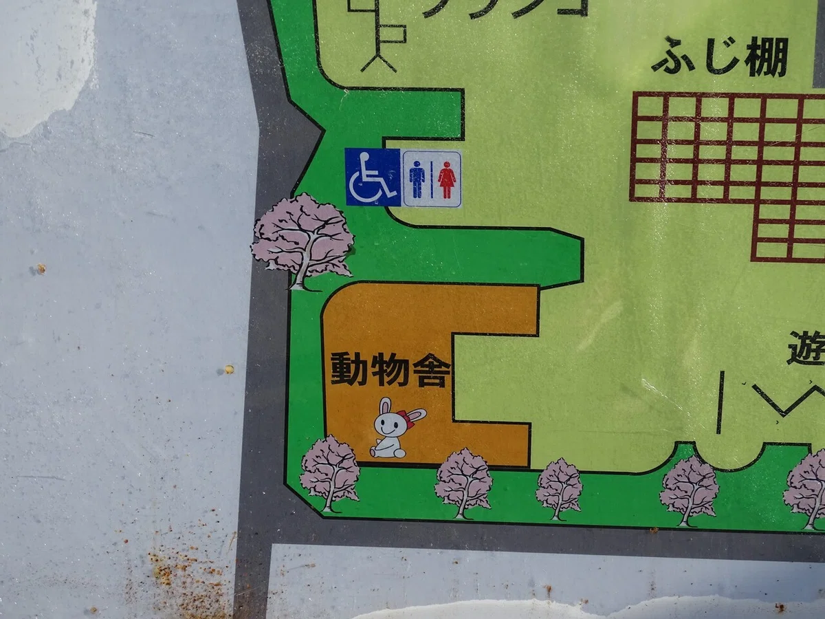 画像13