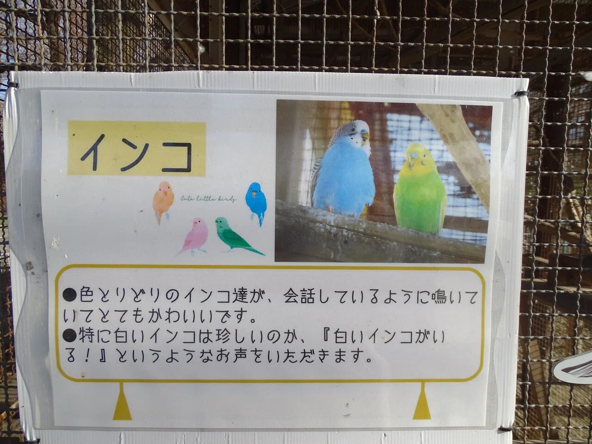 画像14