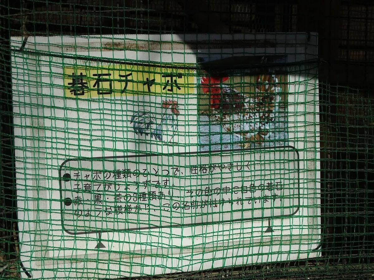 画像19