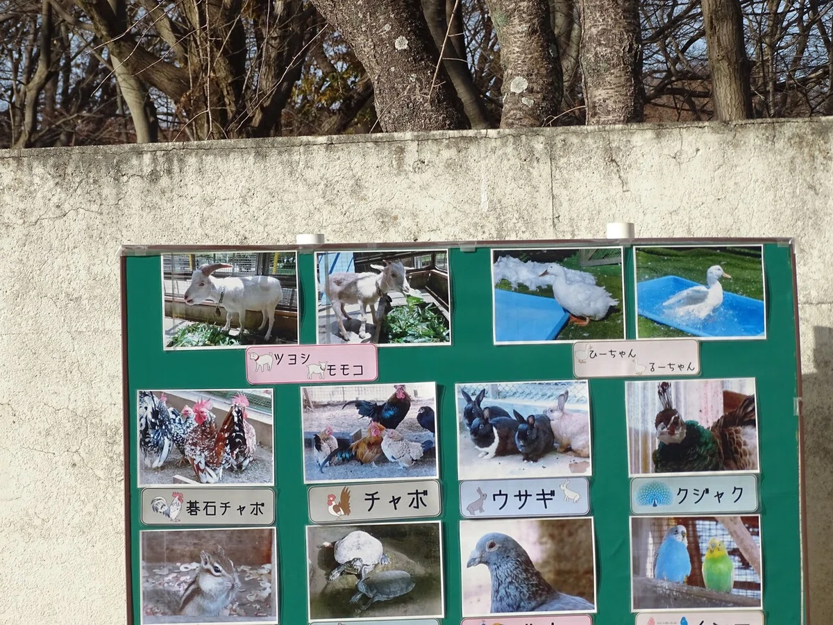 画像20