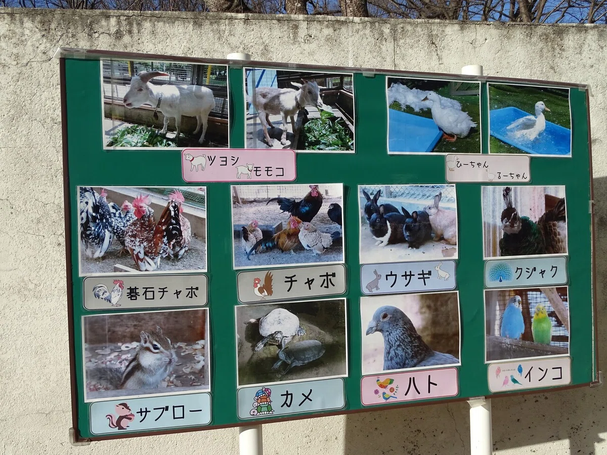 画像21