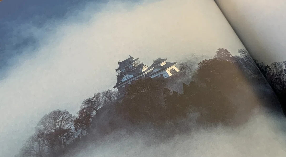 画像6