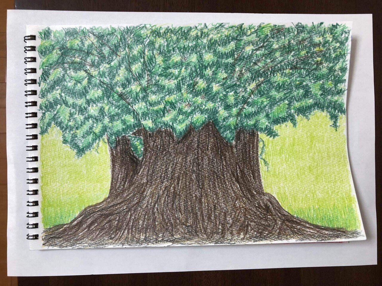 大木 みどりのスケッチブック Note 大木 みどりのスケッチブック Note