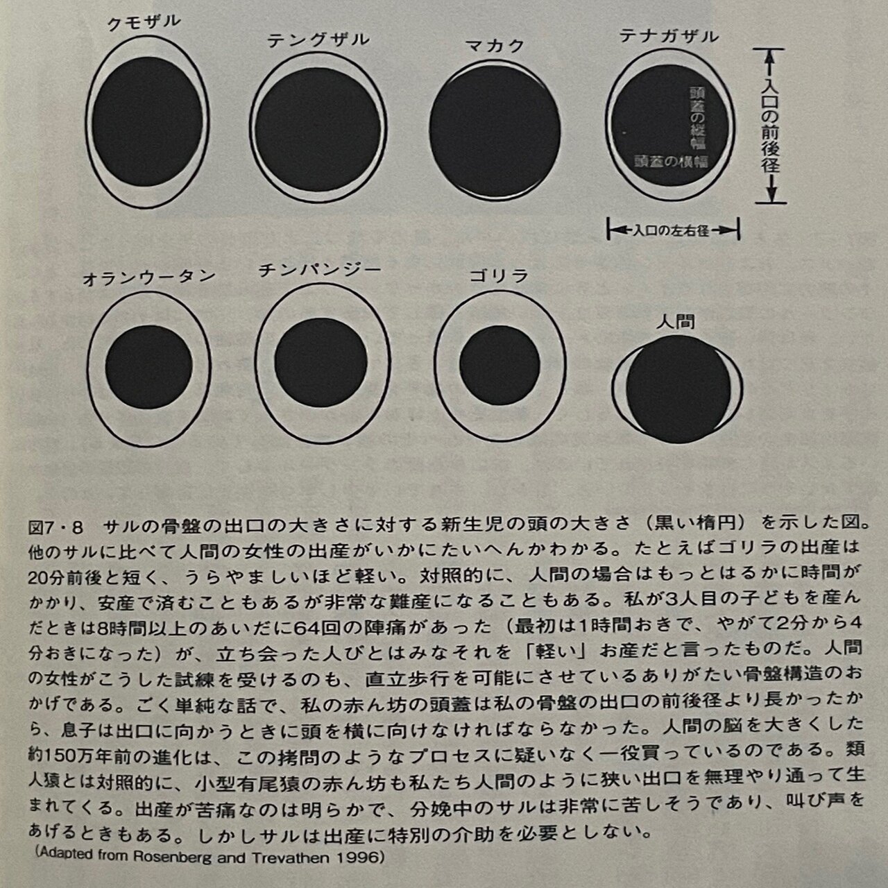 読書記録 マザー・ネイチャー (上)｜R.K., image size:1280x1605