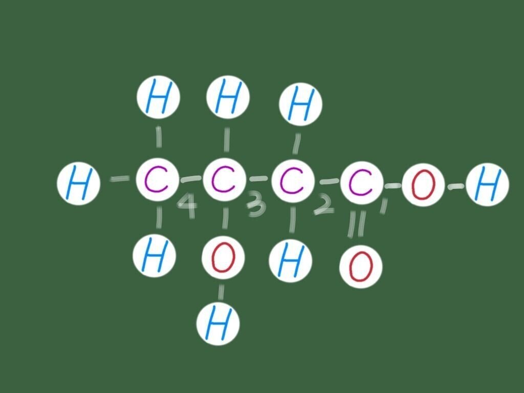 まえがき＆目次公開】新刊『脳の寿命を延ばす「脳エネルギー」革命』ケトン体が脳で起こす奇跡とは…!?｜光文社新書