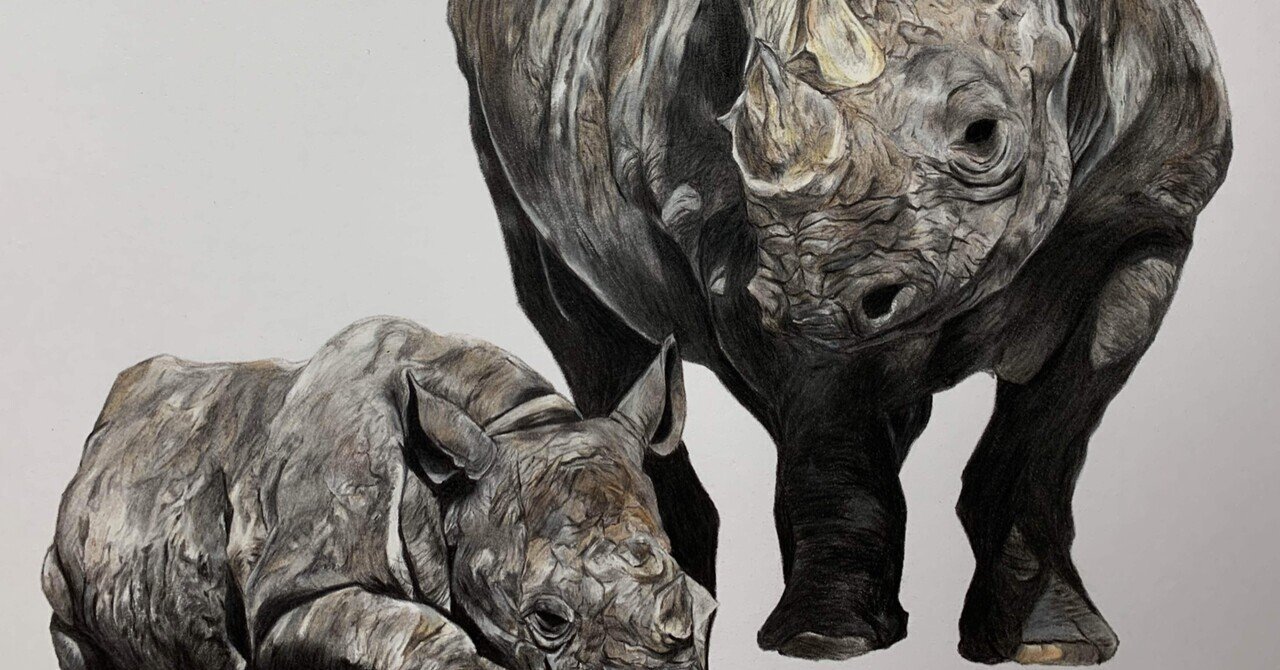 色鉛筆でサイを描いてみた話｜桜雨はると