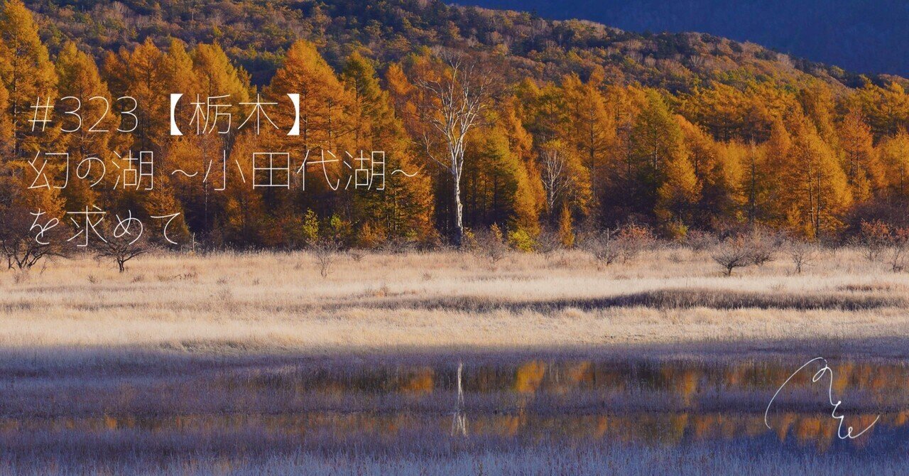 豊富な商品から 323【栃木】幻の湖 ~小田代湖~ MとW を求めて｜旅するフォトマガジン 