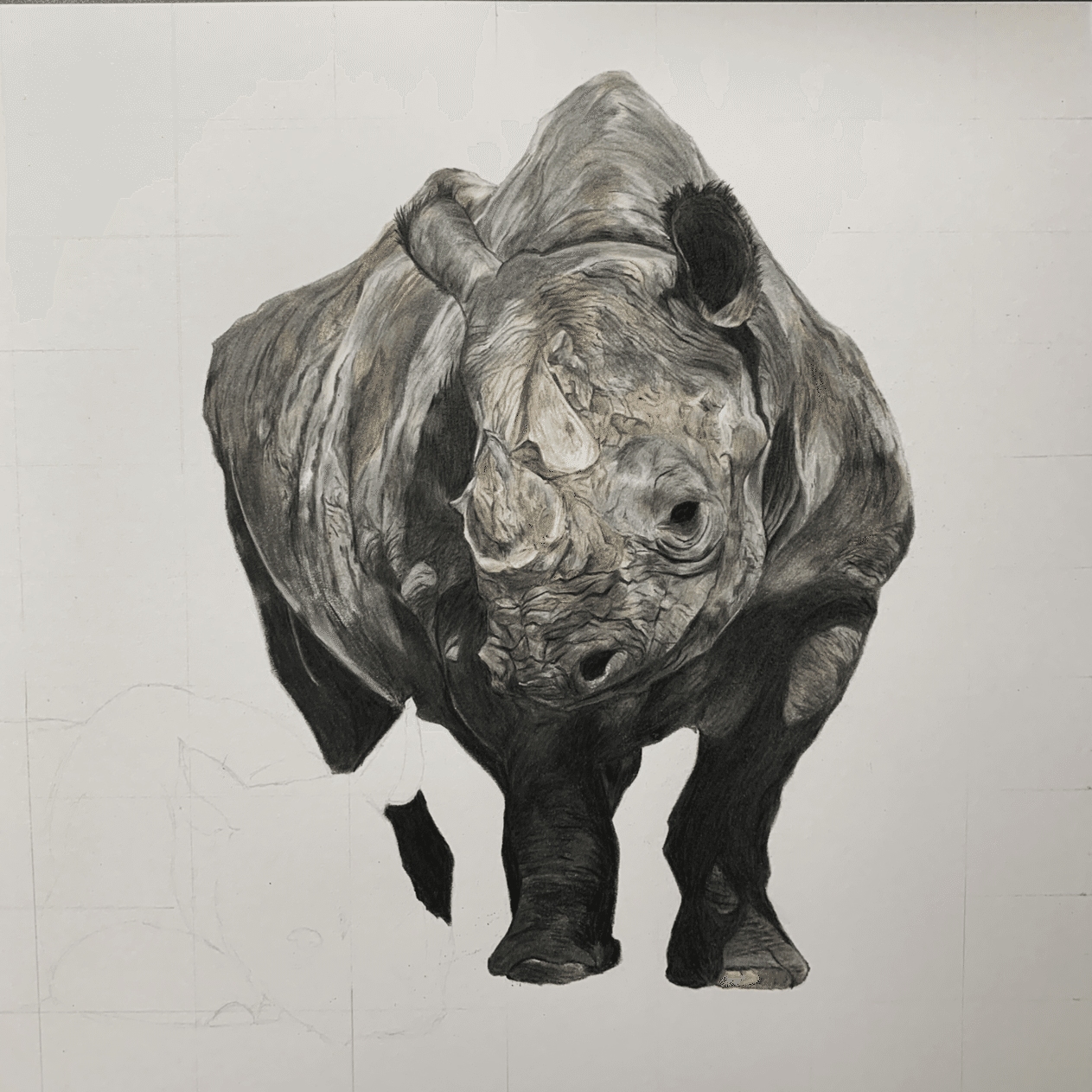 色鉛筆でサイを描いてみた話｜桜雨はると