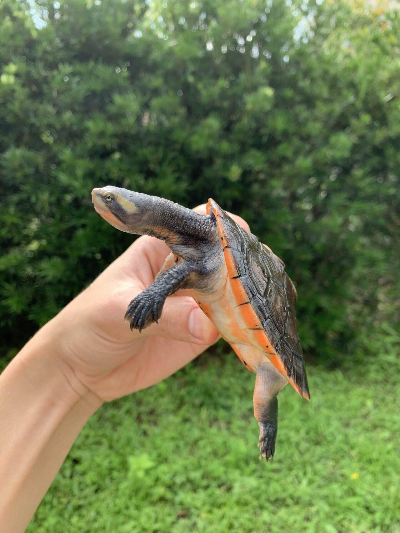 すぐ使える⭐初心者おすすめ✨大容量500GB⭐カメラ付き❗NECノートパソコン❗ すぐ使える⭐初心者おすすめ✨大容量500GB⭐カメラ付き❗NEC