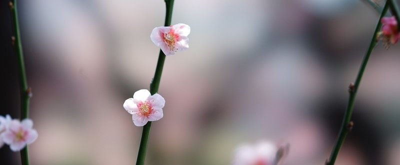 こころとからだの健康マガジンにご感想をいただきました