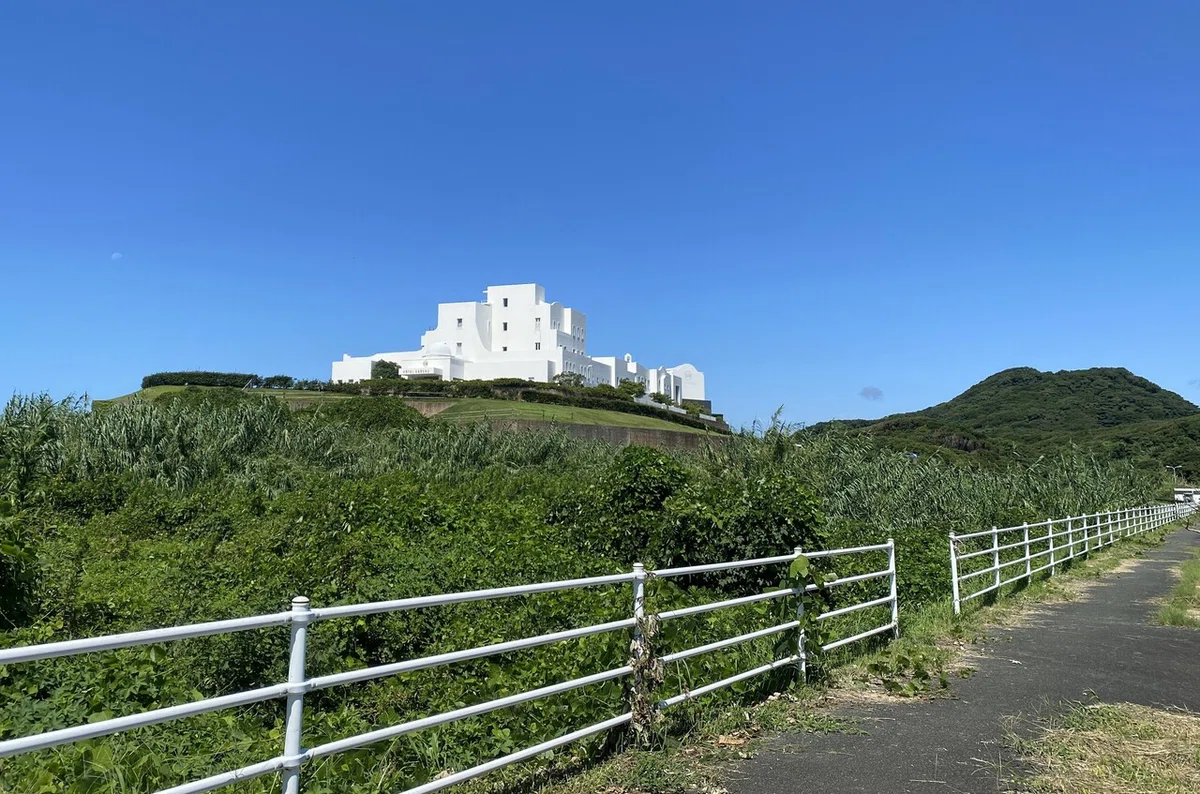 画像5