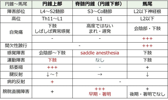 画像22