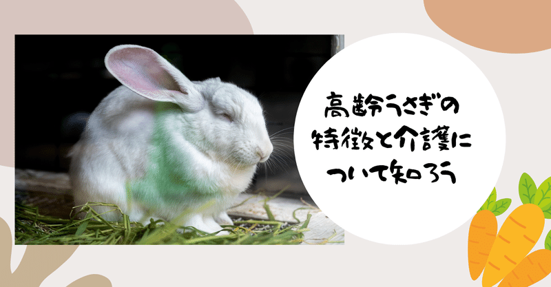うさぎの杜 の新着タグ記事一覧 Note つくる つながる とどける うさぎの杜 の新着タグ記事一覧 Note つくる つながる とどける