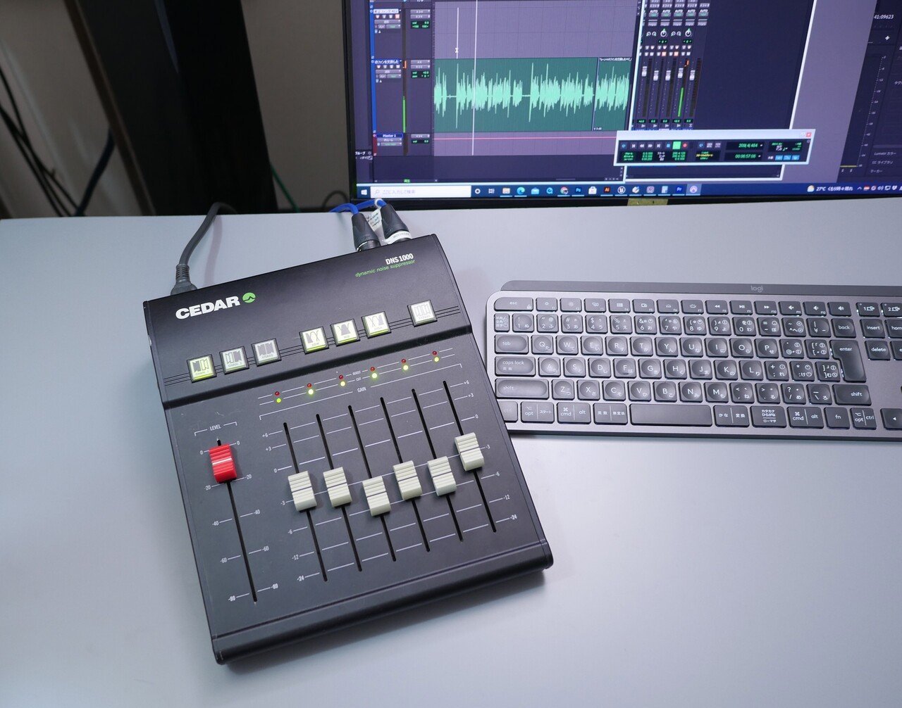【希少】CEDAR ノイズサプレッサー DNS1000 DNS 1000