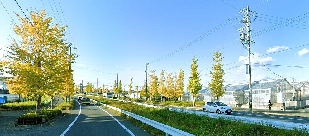 2麻生田大橋遺跡