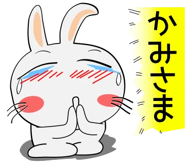 画像12