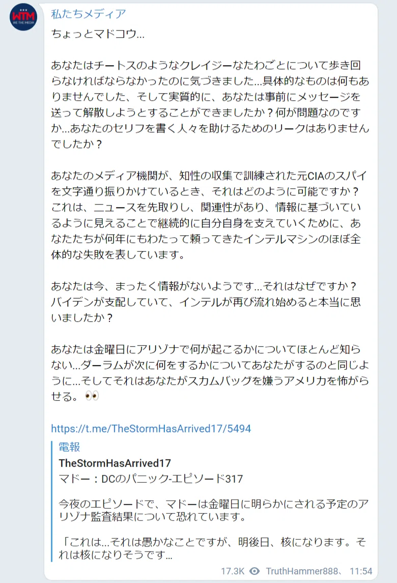 FireShot Capture 133 - 私たちメディア–電報 - t.me