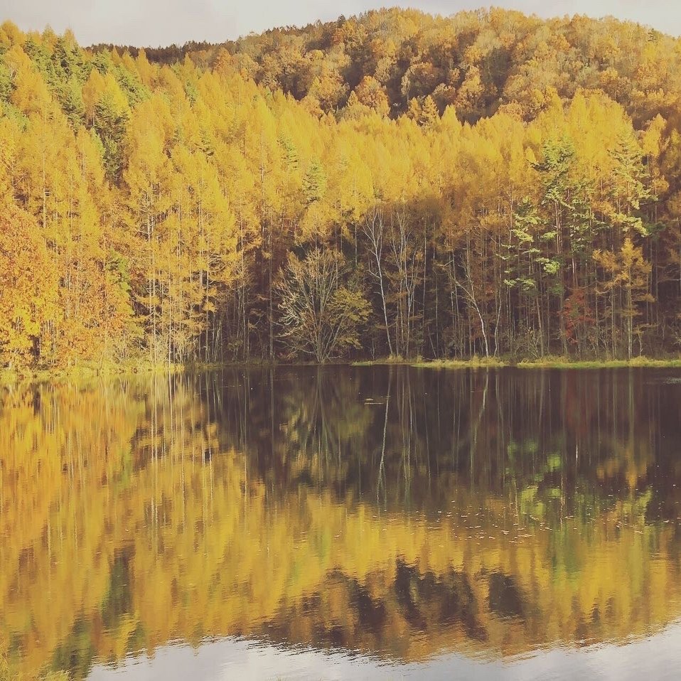 13 件の「夕焼け」や「美しい景色」のアイデアを見つけましょう | 美しい風景、, image size:1279x958