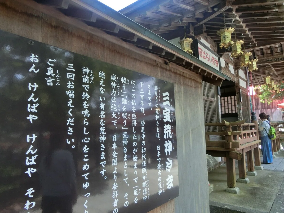 画像12