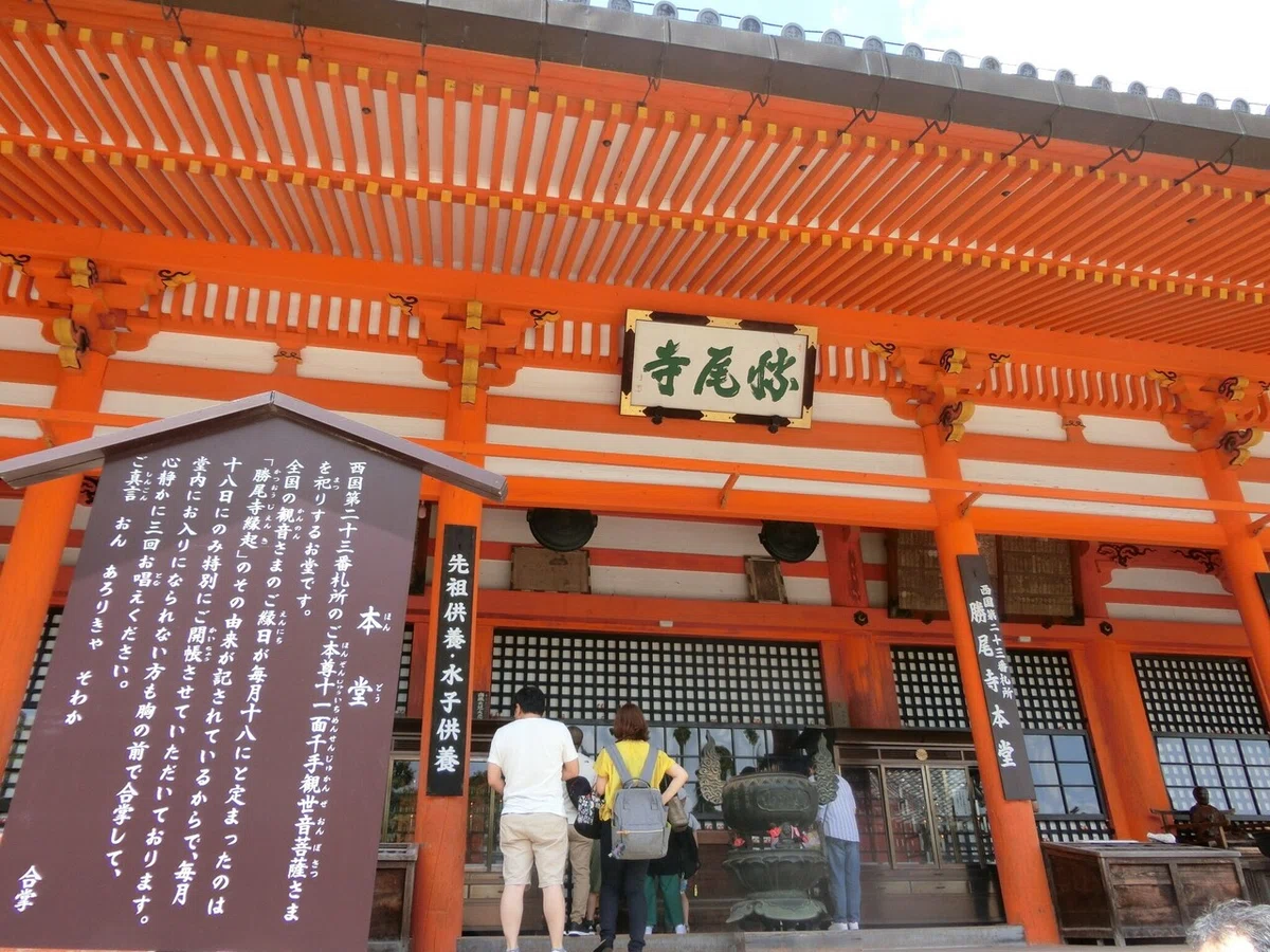 画像13