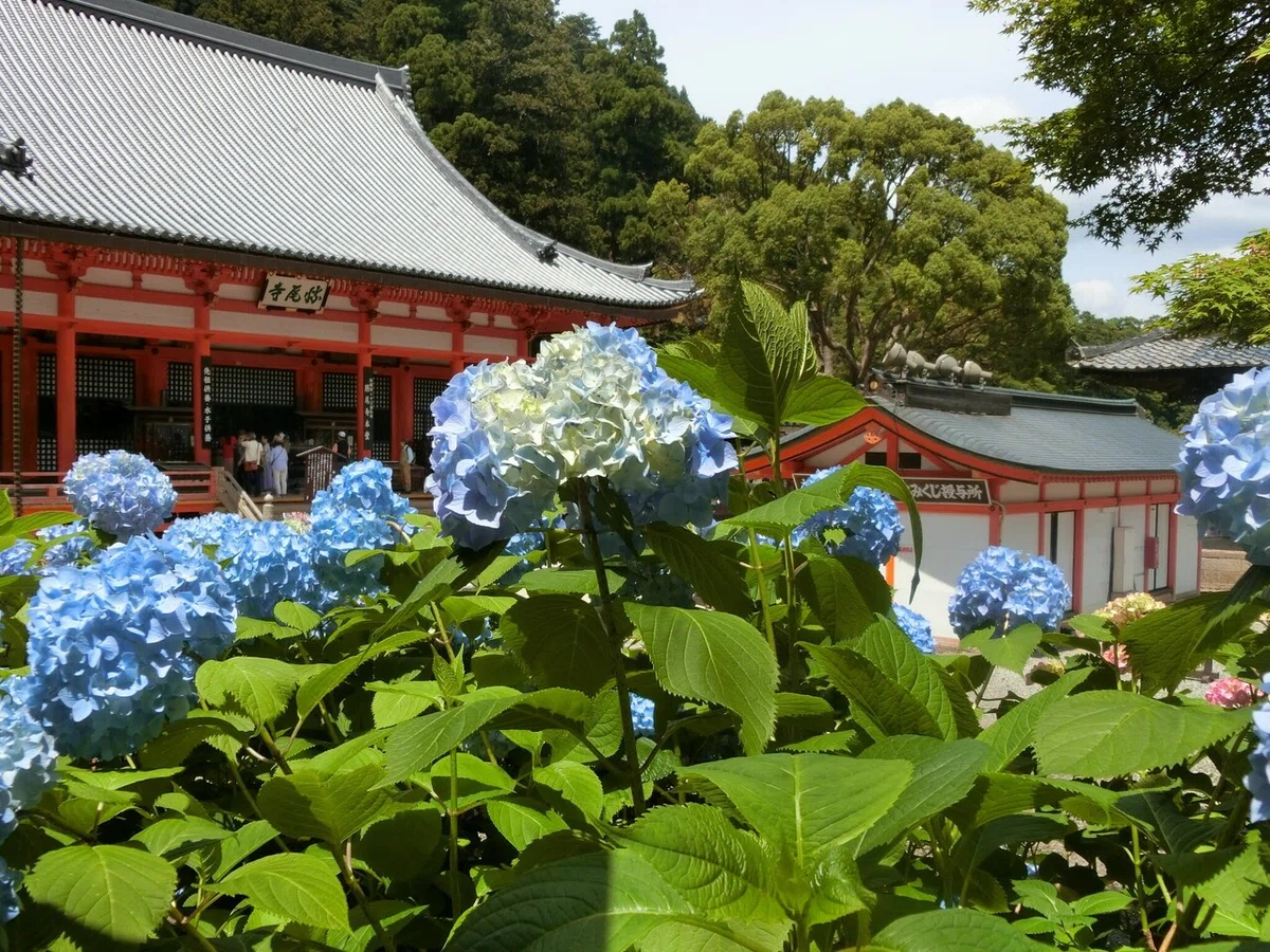 画像20