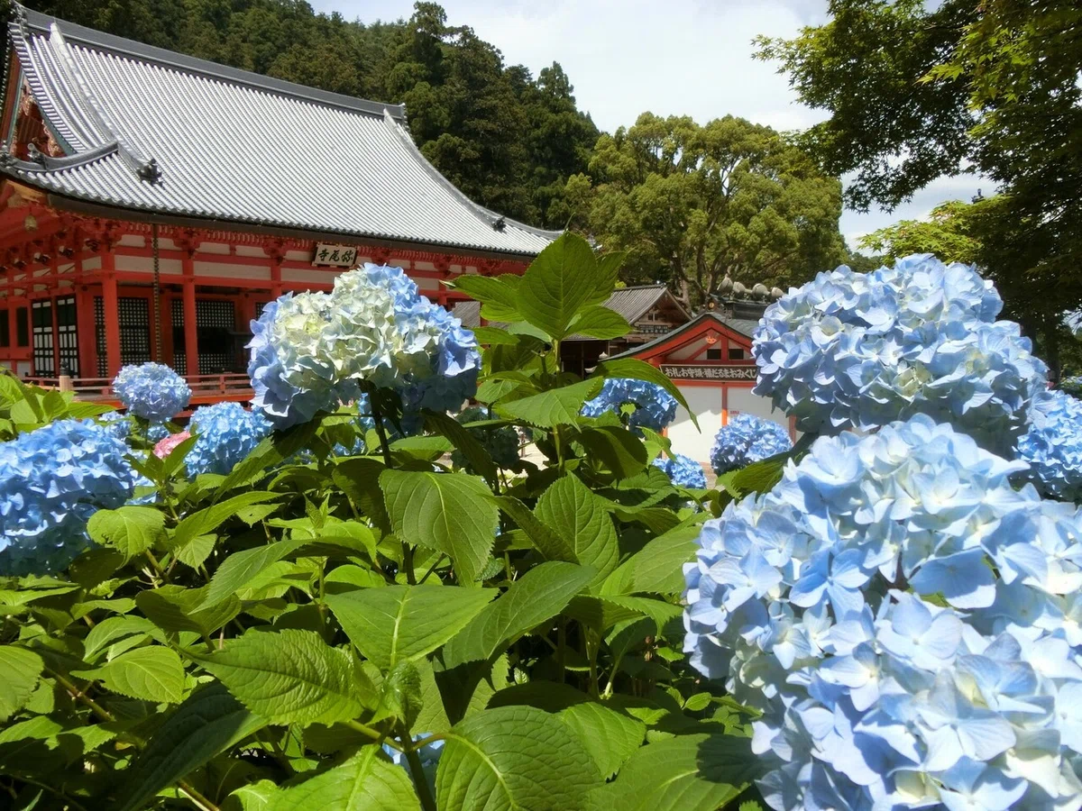 画像21