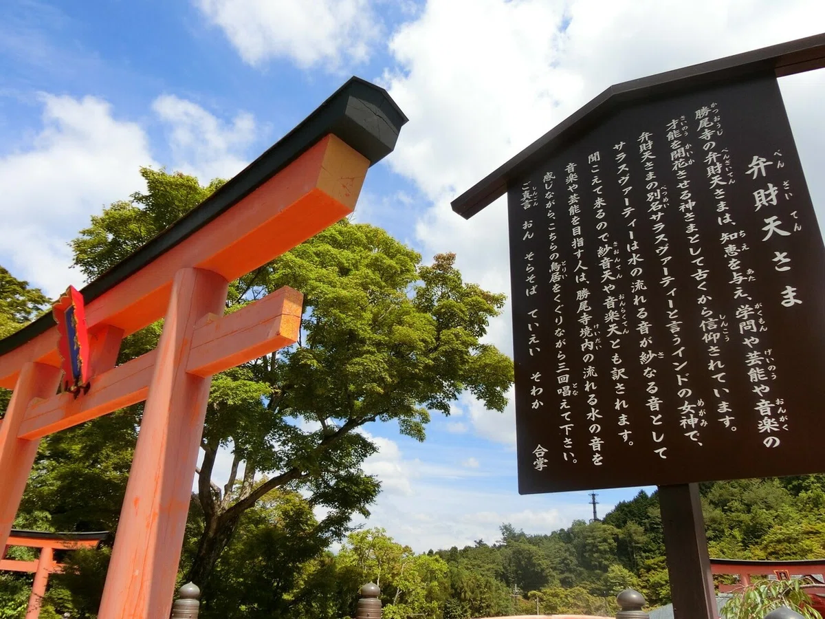 画像27