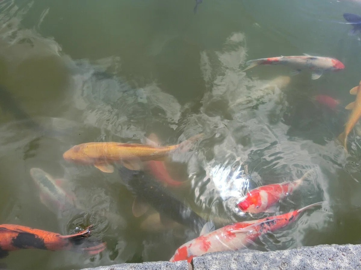 画像28