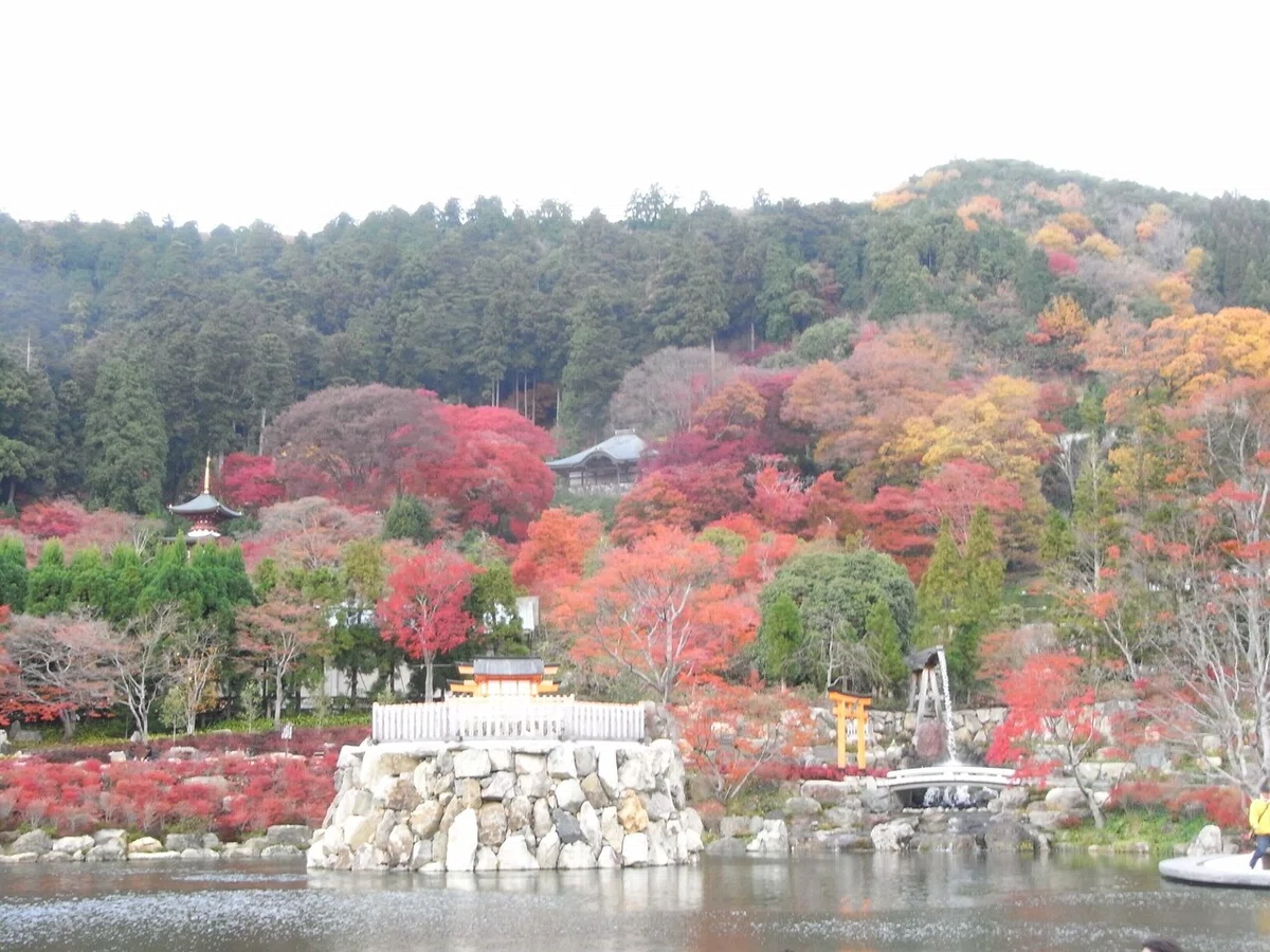 画像34