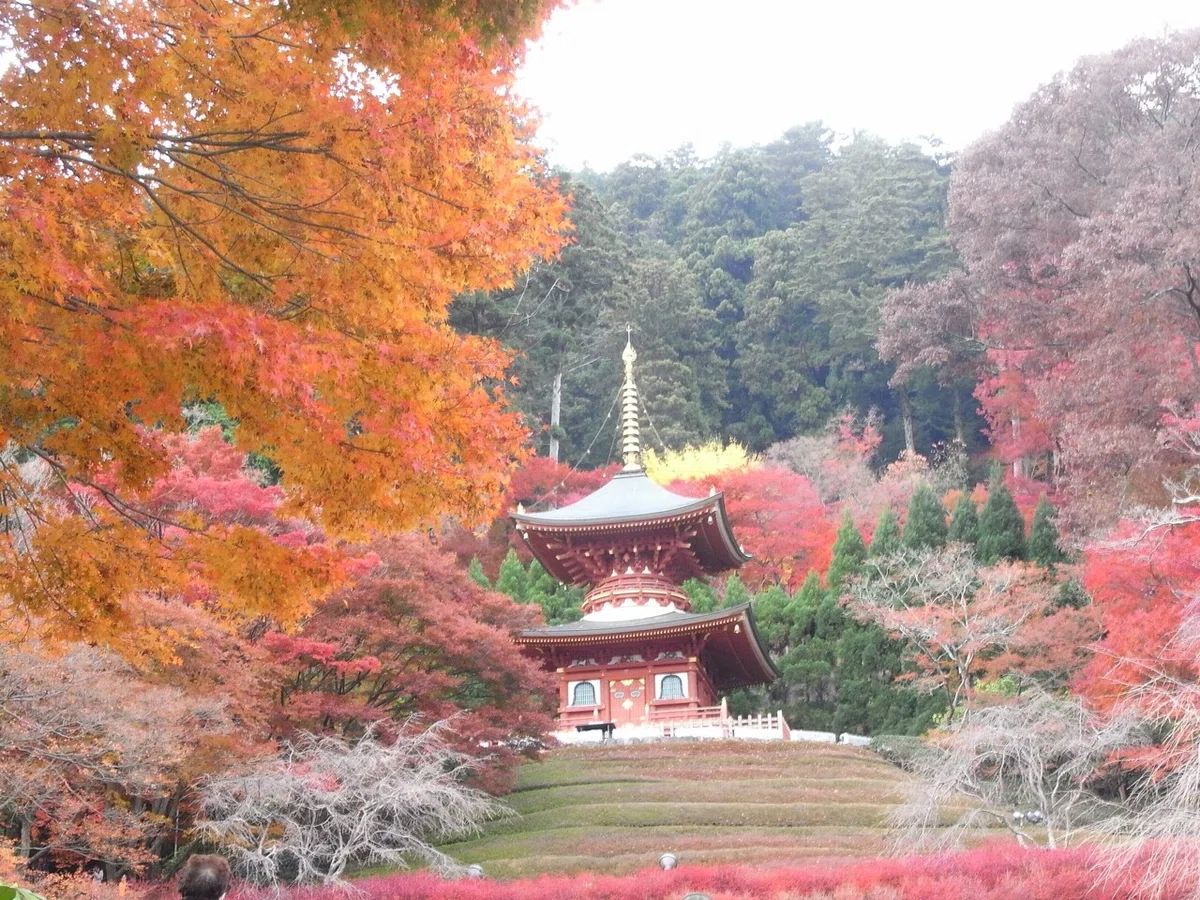 画像36