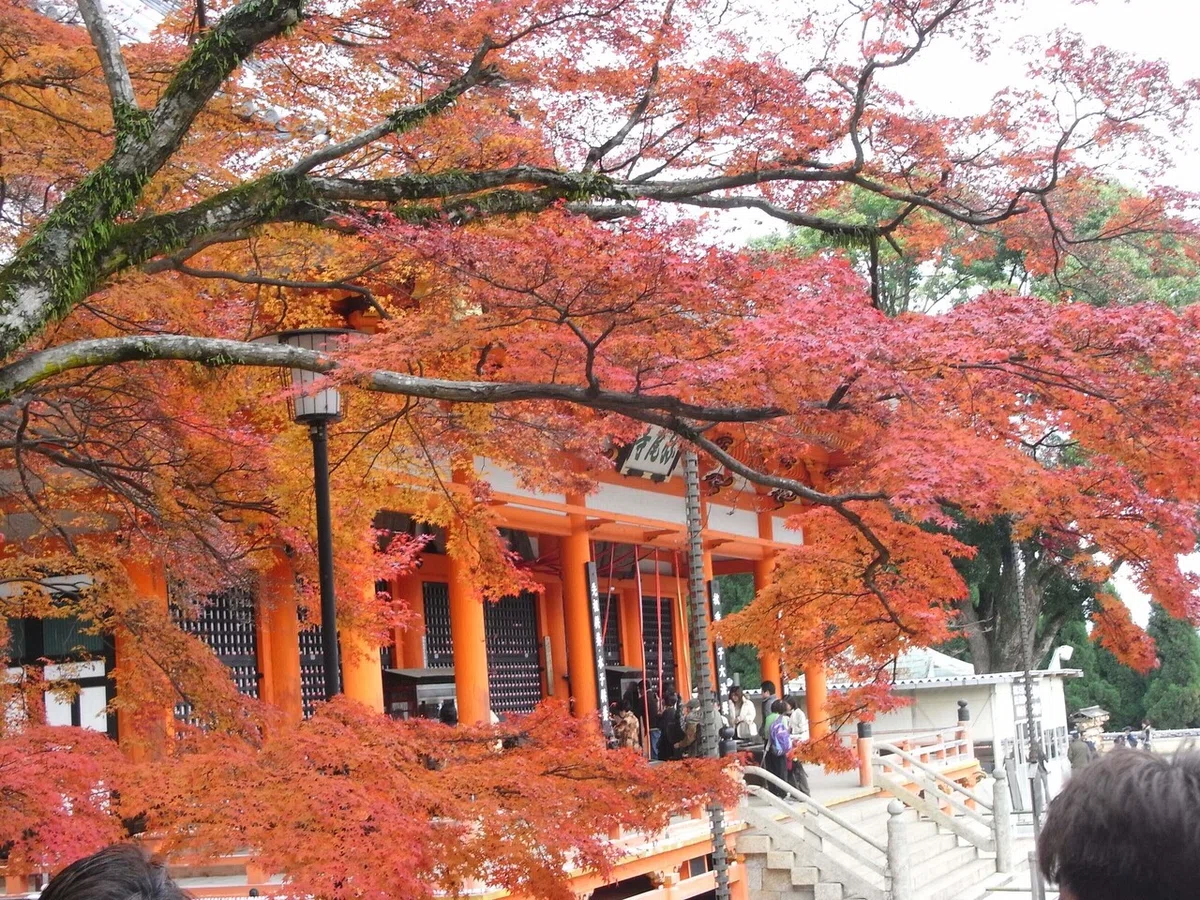 画像38